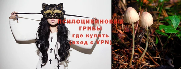 крисы Гусев