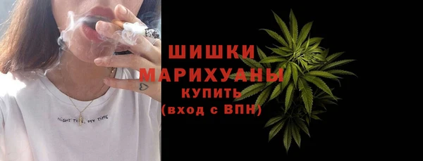 крисы Гусев