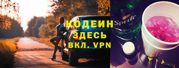 амф Гусиноозёрск