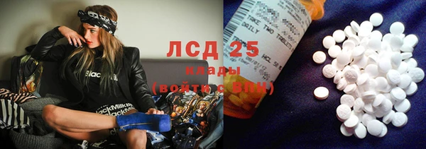 крисы Гусев